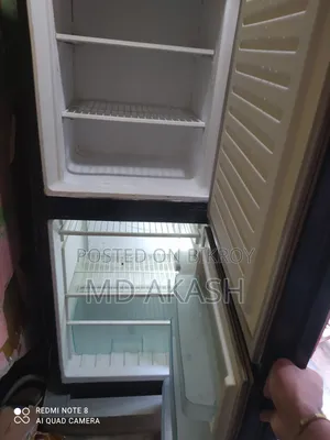 ফুল ফ্রেশ কন্ডিশন