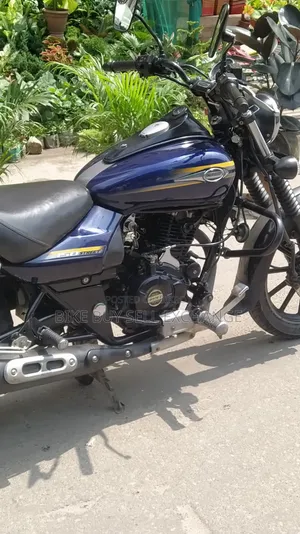 Bajaj Avenger 150 Street 2019 Blue