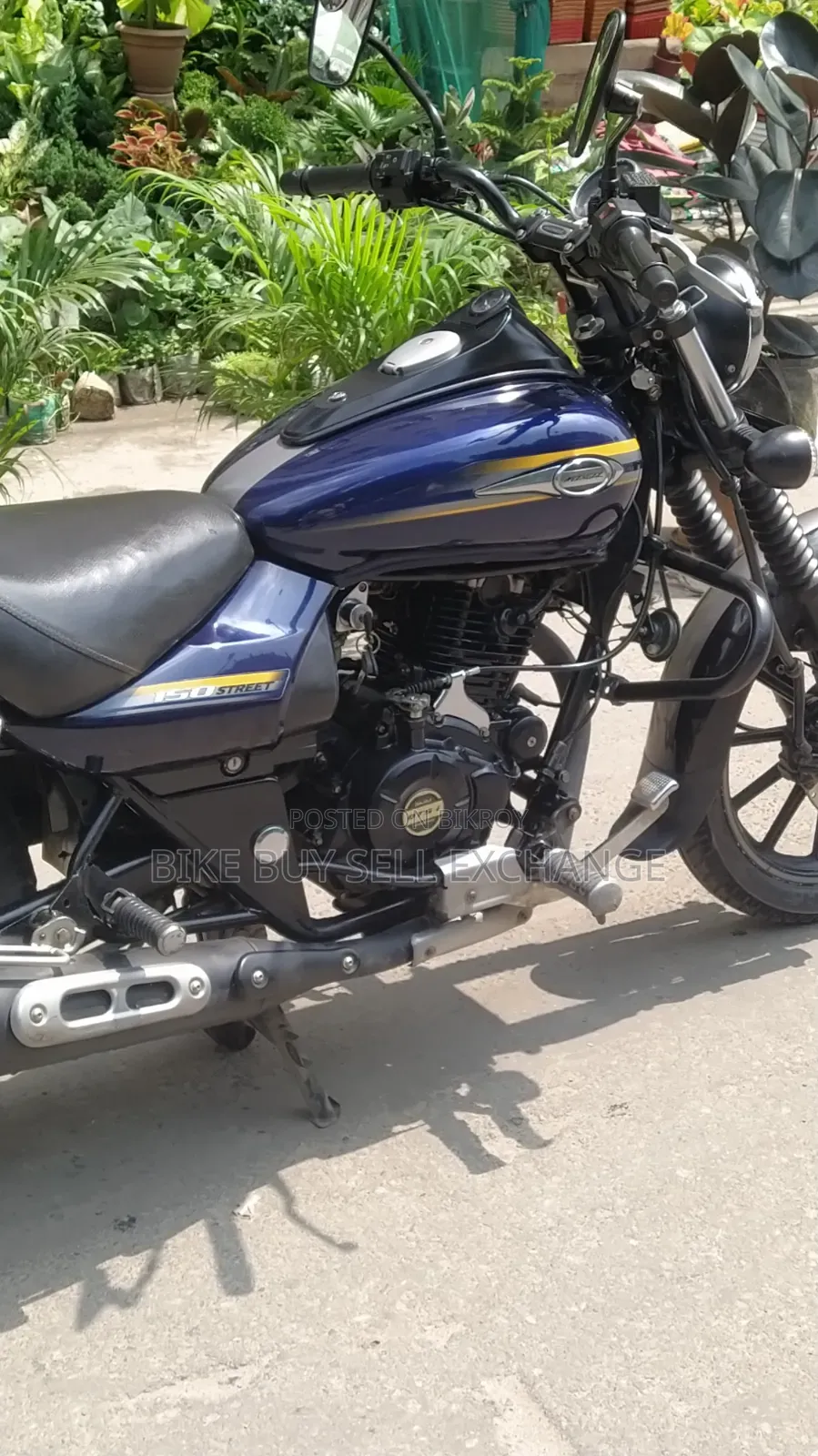 Bajaj Avenger 150 Street 2019 Blue