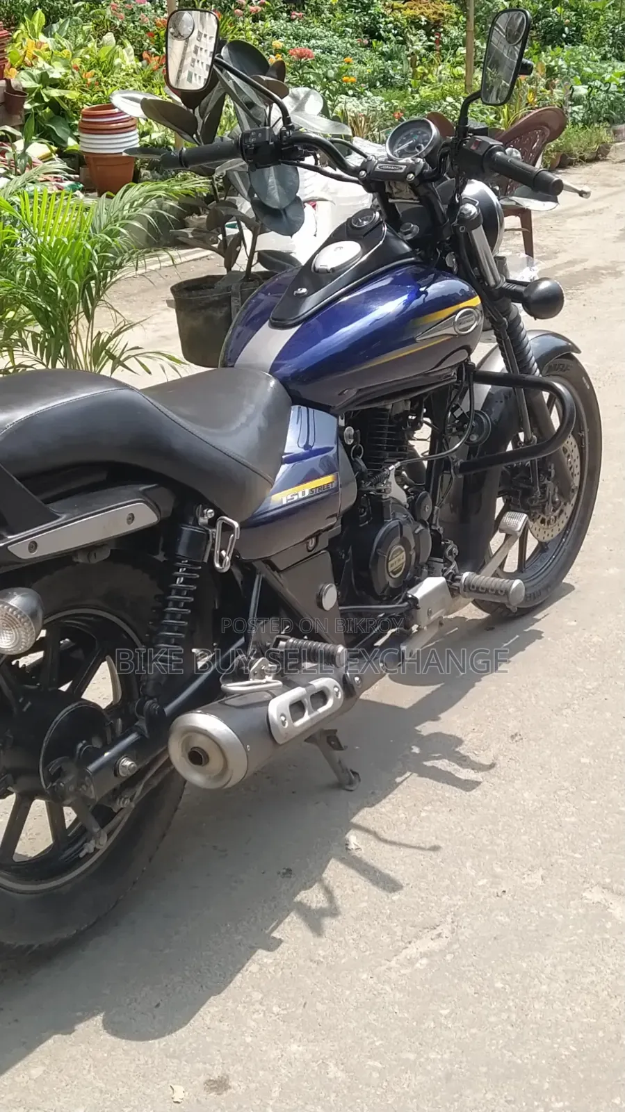 Bajaj Avenger 150 Street 2019 Blue