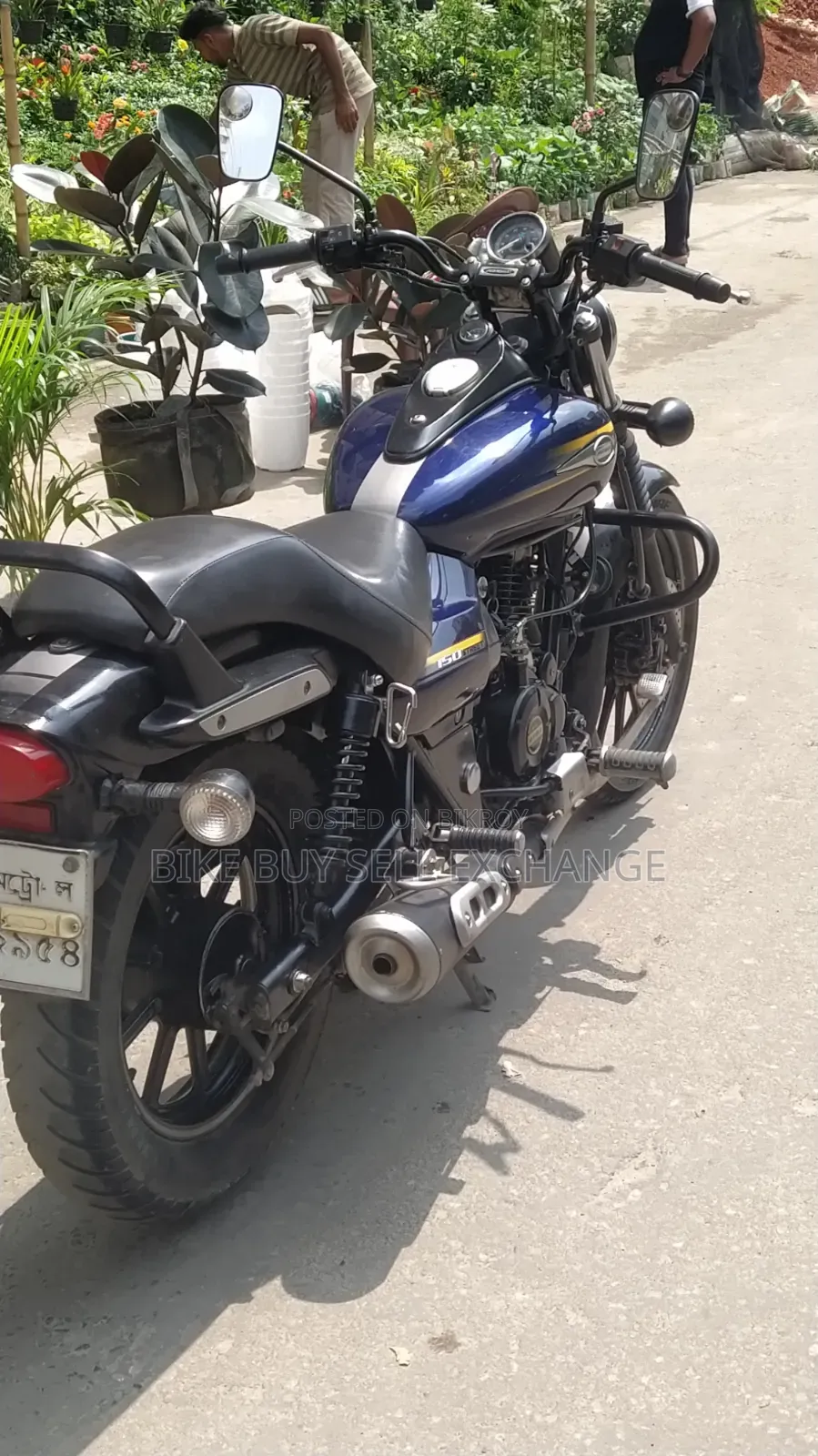 Bajaj Avenger 150 Street 2019 Blue