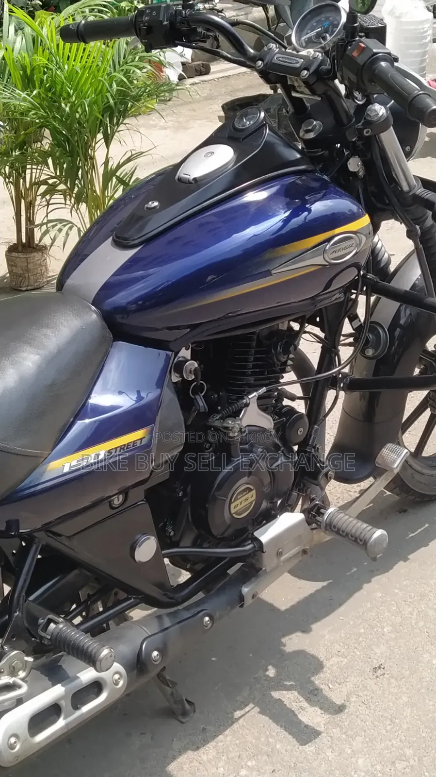 Bajaj Avenger 150 Street 2019 Blue