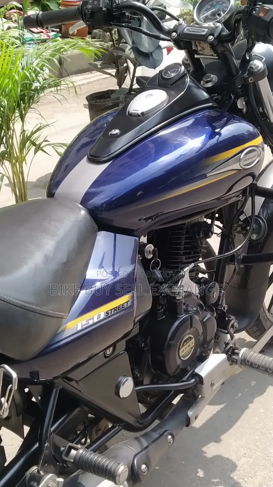 Bajaj Avenger 150 Street 2019 Blue
