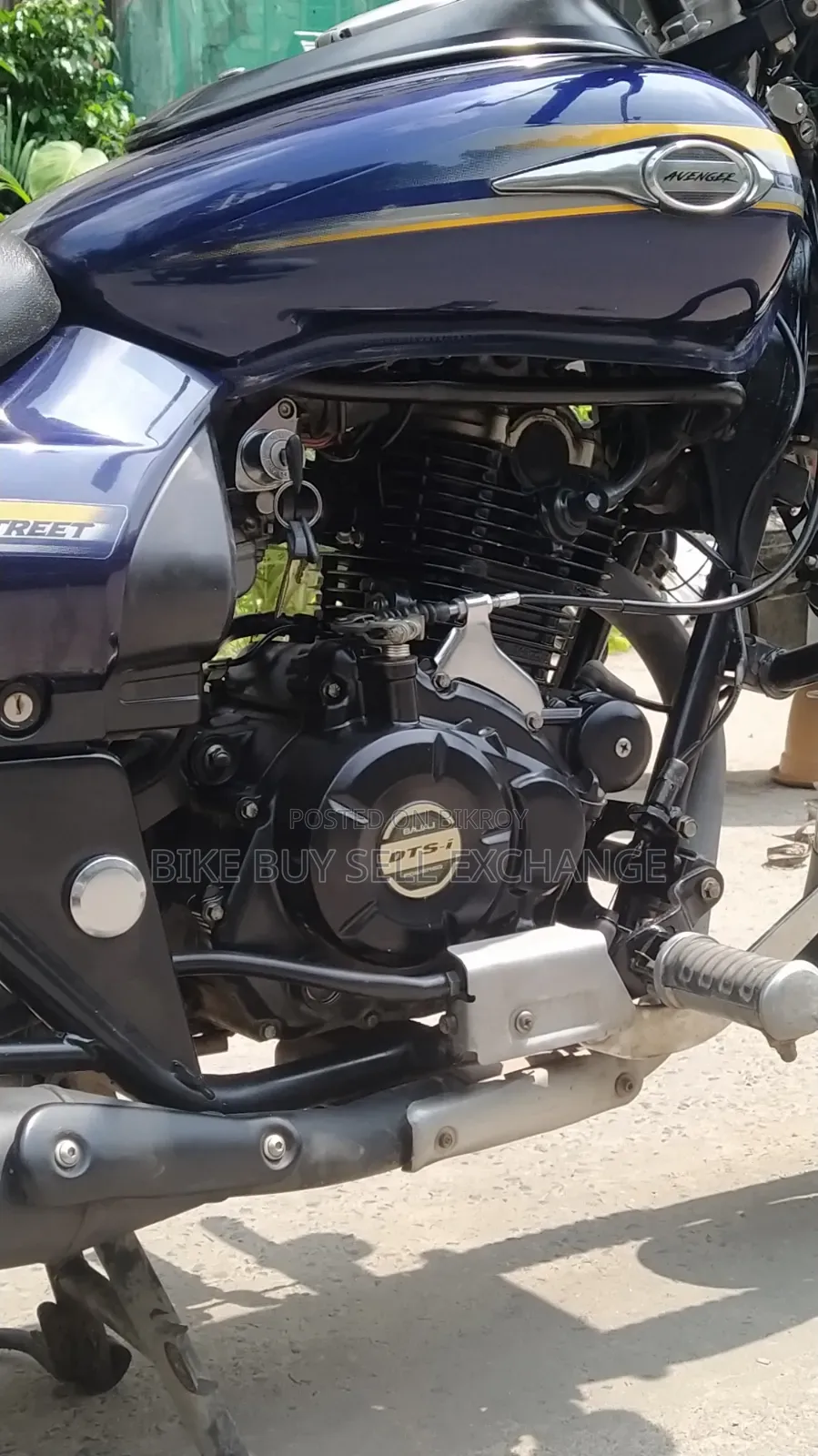 Bajaj Avenger 150 Street 2019 Blue