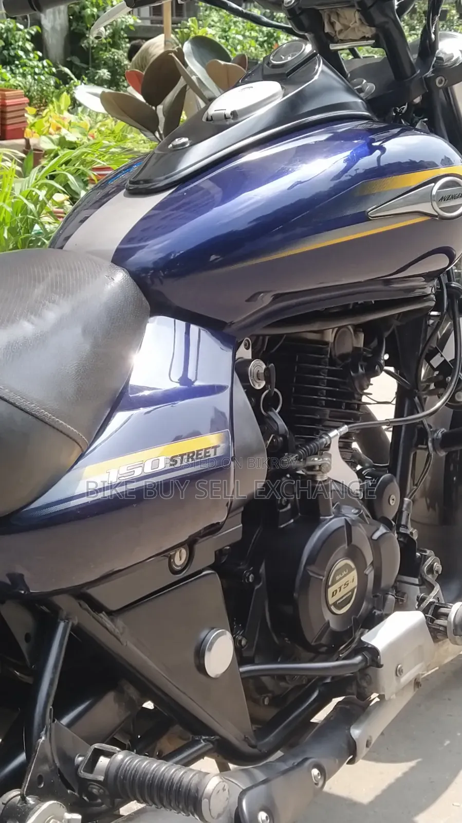 Bajaj Avenger 150 Street 2019 Blue