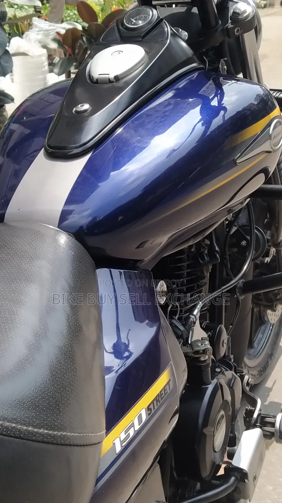 Bajaj Avenger 150 Street 2019 Blue