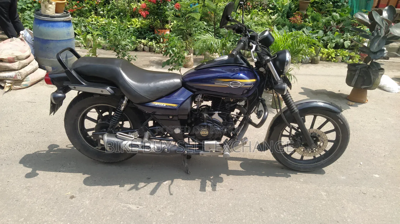 Bajaj Avenger 150 Street 2019 Blue