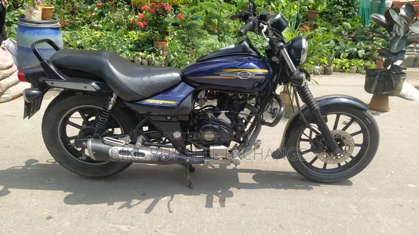 Bajaj Avenger 150 Street 2019 Blue