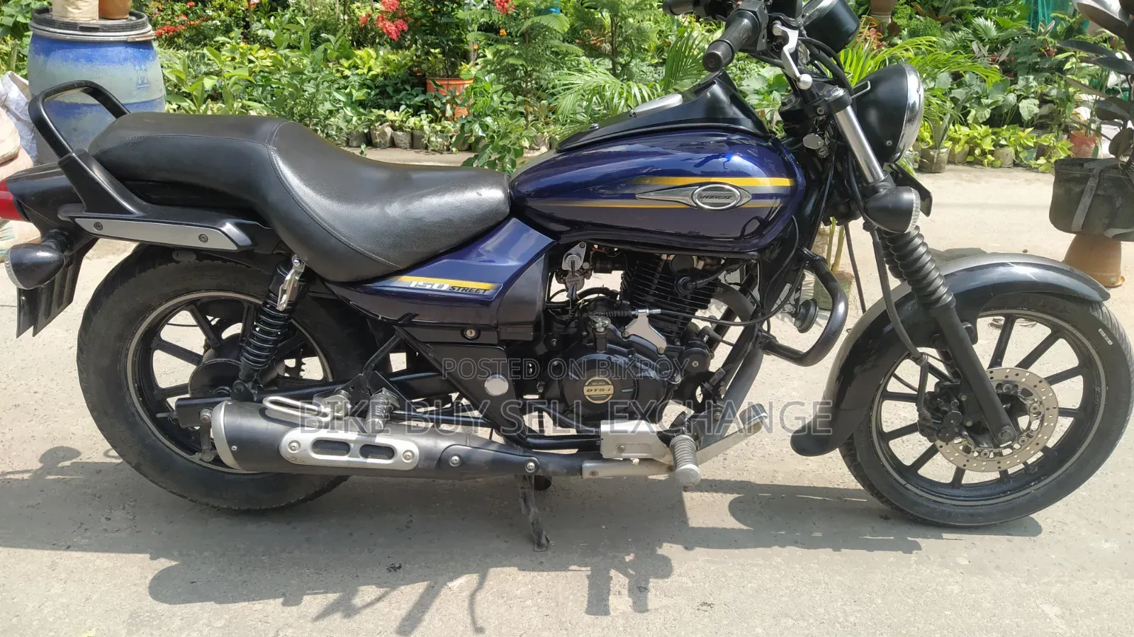 Bajaj Avenger 150 Street 2019 Blue