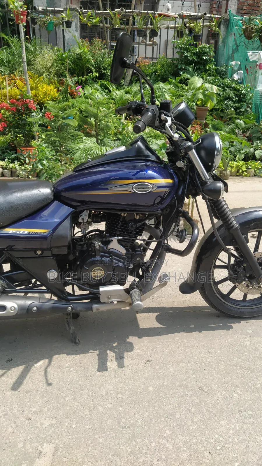 Bajaj Avenger 150 Street 2019 Blue
