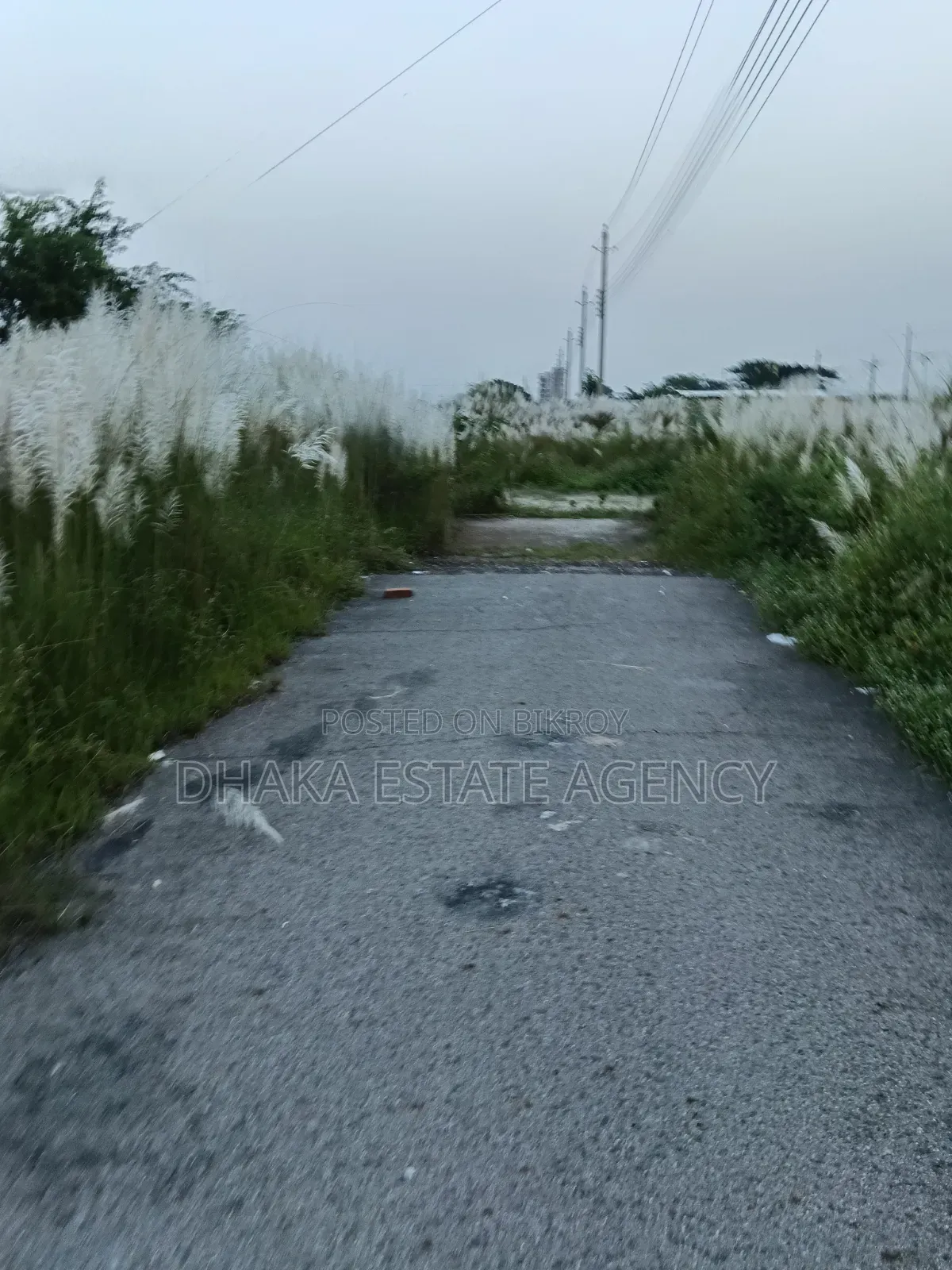 Block-P, 40/25 Feet Road Corner 5 Katha Plot Sale