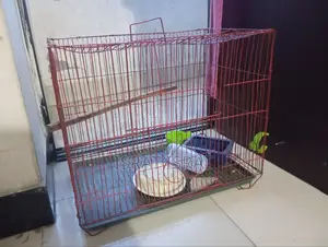 Large Bird Cage