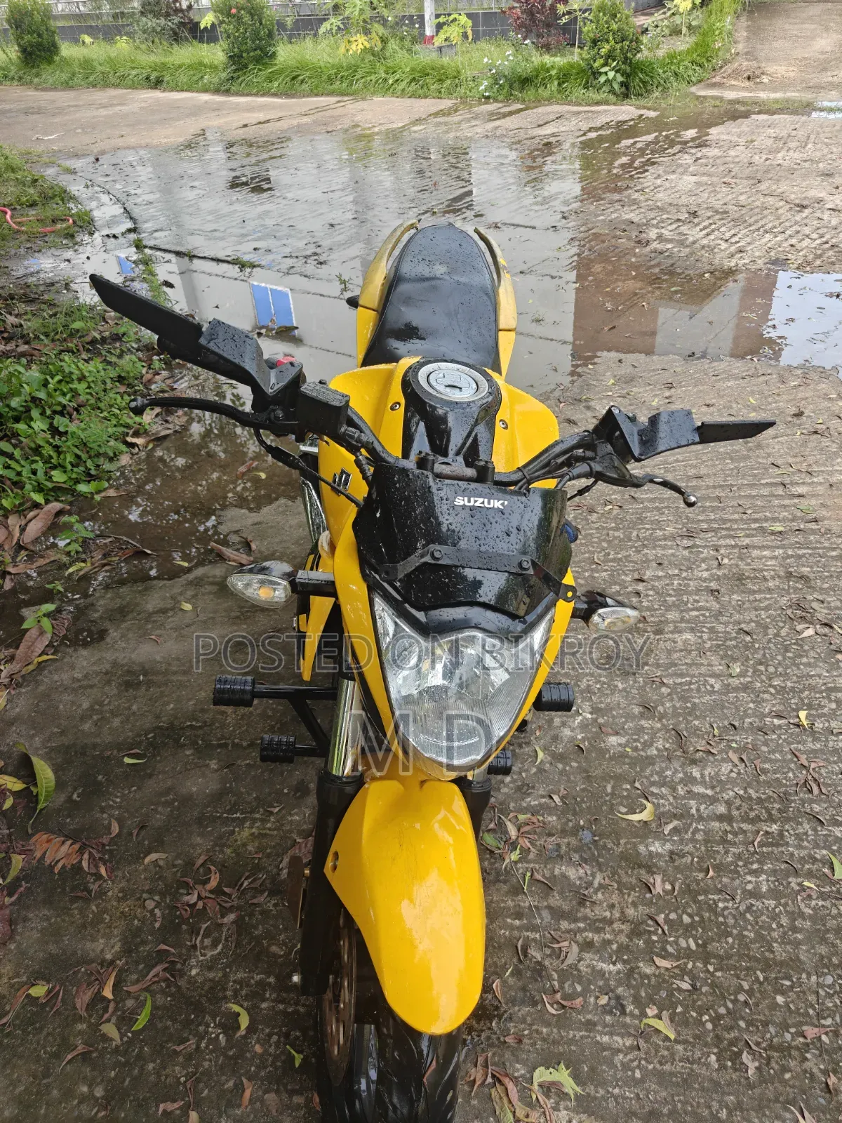 Suzuki Gixxer 2023 Yellow