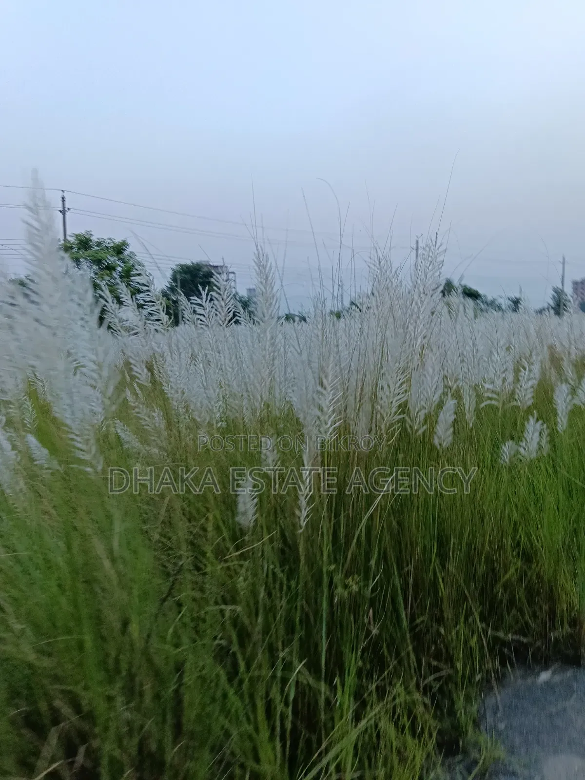 Block-P, North Face 5 Katha Plot Sale