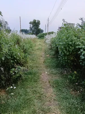 Block-P, 3 Katha Plot Sale