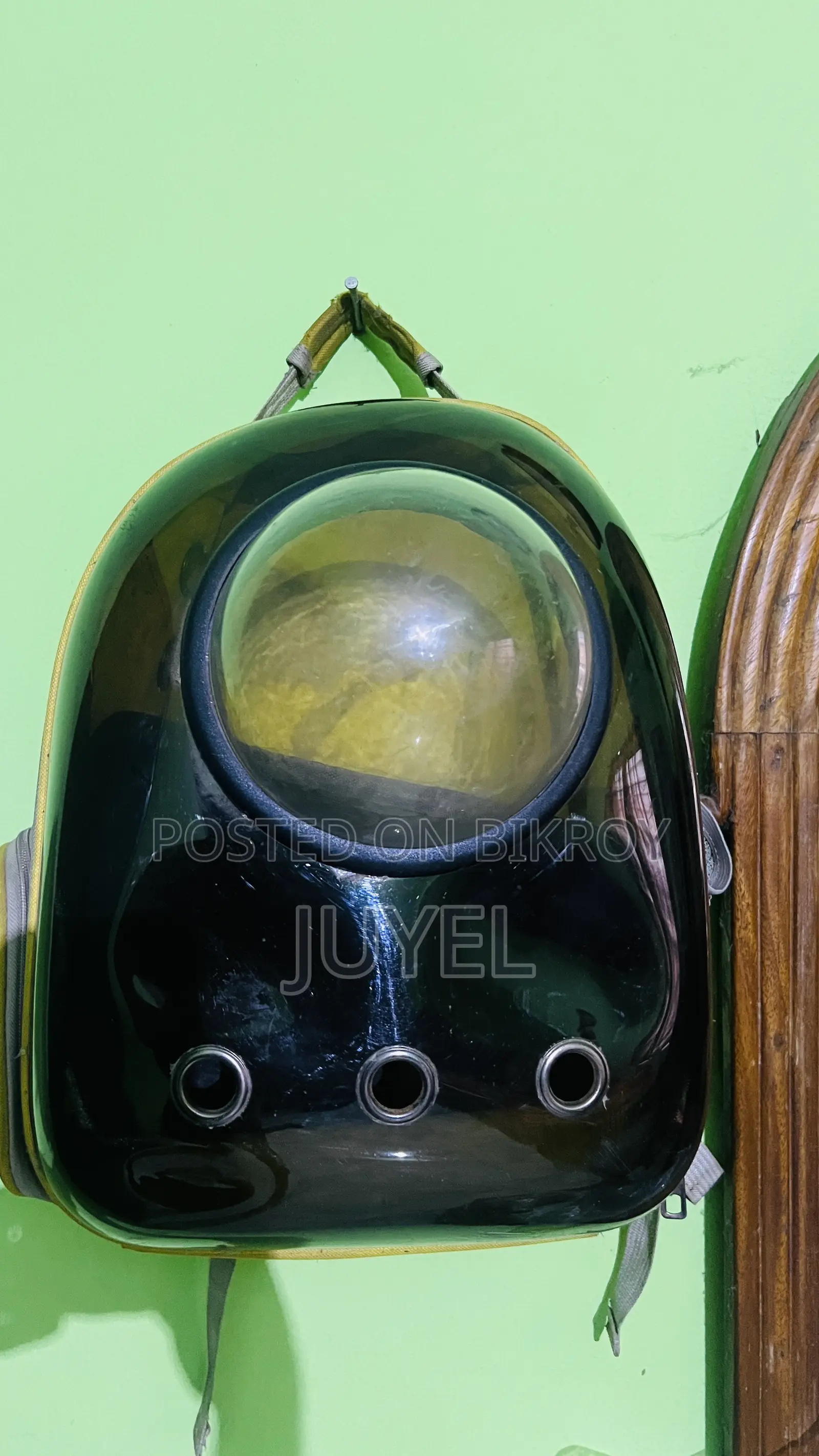 পেট অ্যাক্সেসরিজ