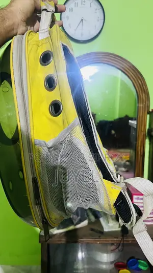 পেট অ্যাক্সেসরিজ