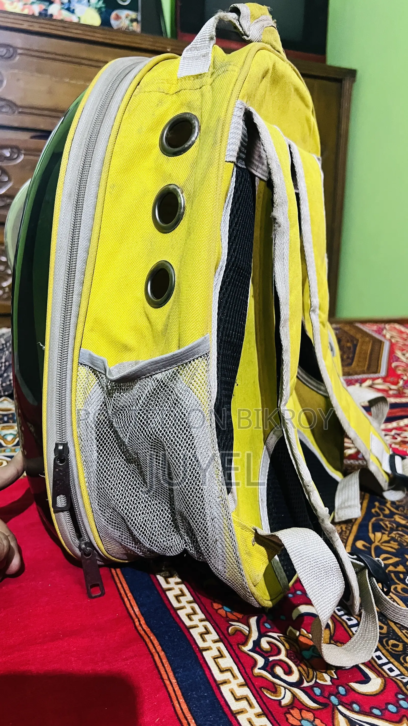 পেট অ্যাক্সেসরিজ