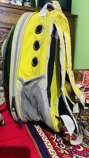 পেট অ্যাক্সেসরিজ