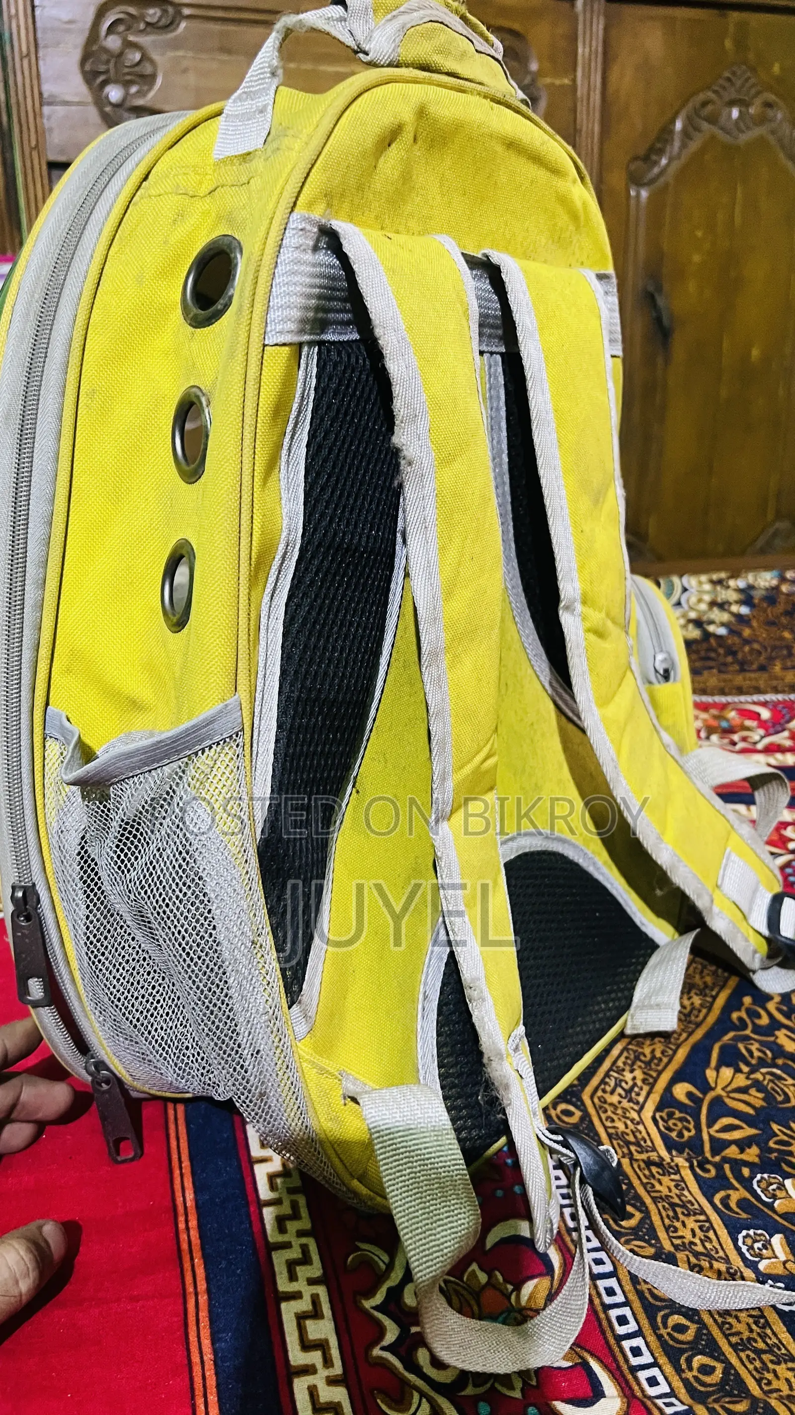 পেট অ্যাক্সেসরিজ