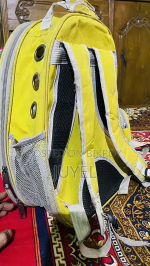 পেট অ্যাক্সেসরিজ