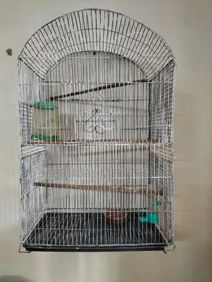 BIRD CAGE for Sell