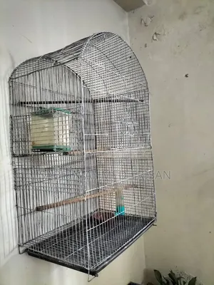 BIRD CAGE for Sell