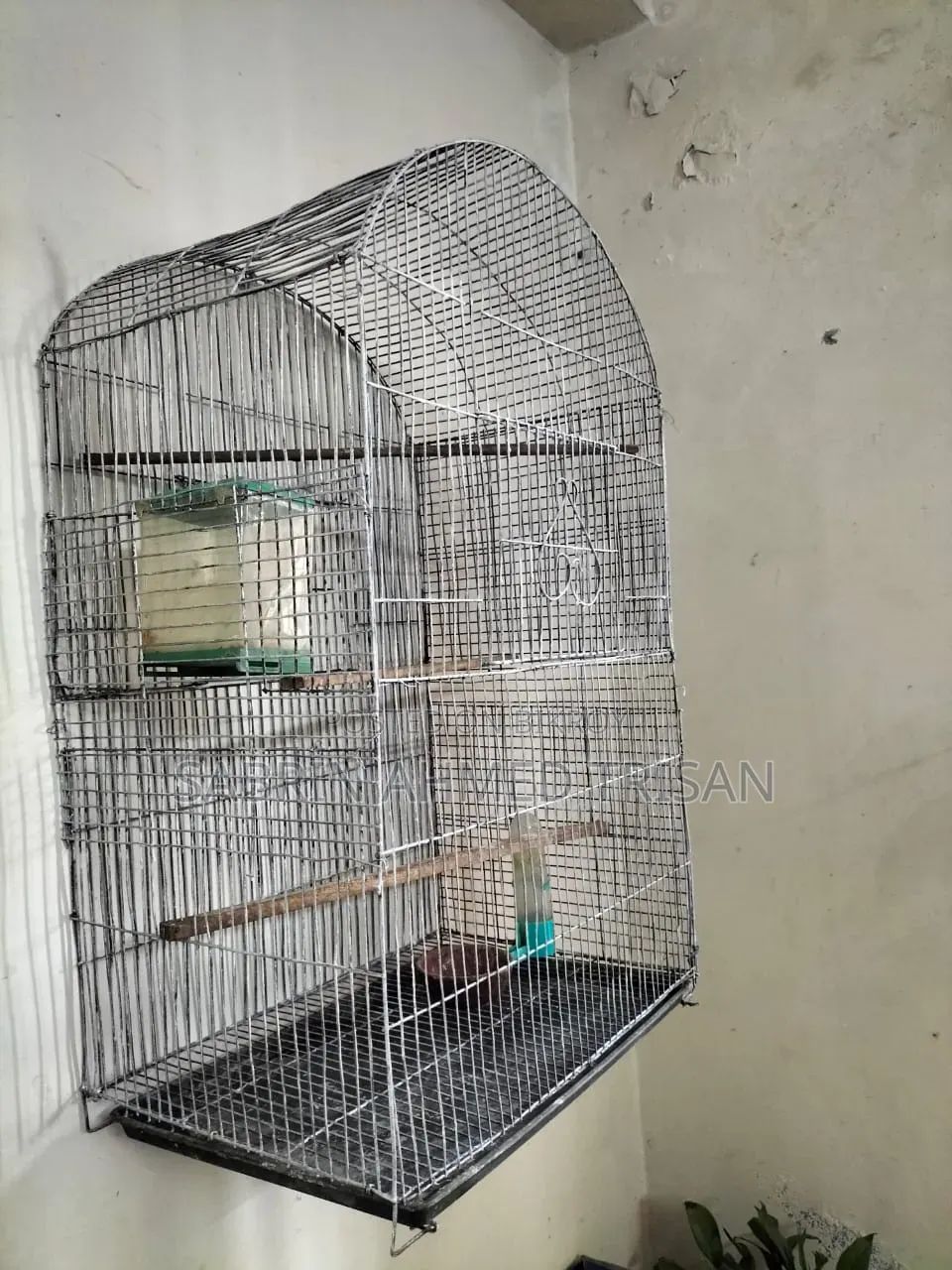 BIRD CAGE for Sell