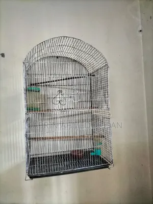 BIRD CAGE for Sell