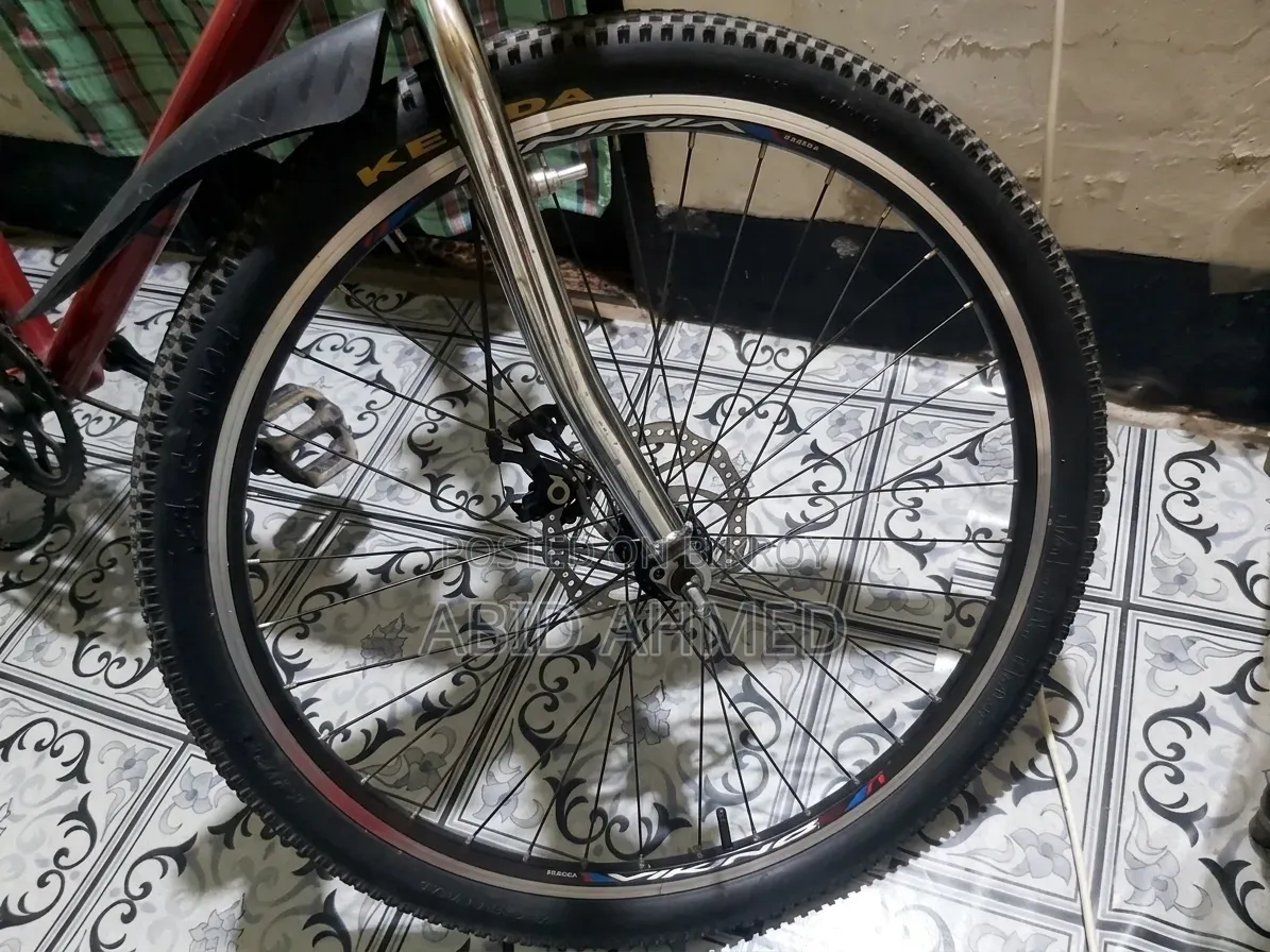 Bicycle (Negotiable)