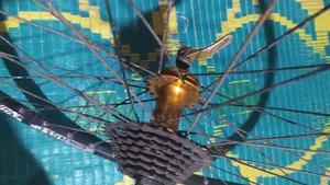 ফ্রেশ সাইকেলের রিম, হাব, স্পোক, সেল হবে