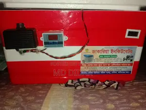 AC/DC Incubator 80+ Eggs
