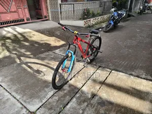 Stunt Cycle