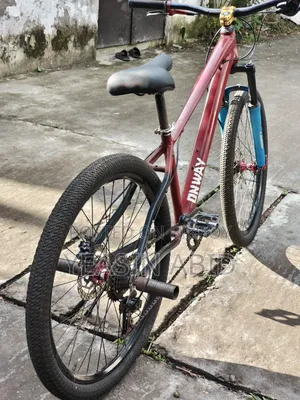 Stunt Cycle