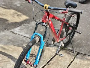 Stunt Cycle