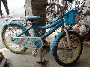 Bicycle has no problems and is completely fresh