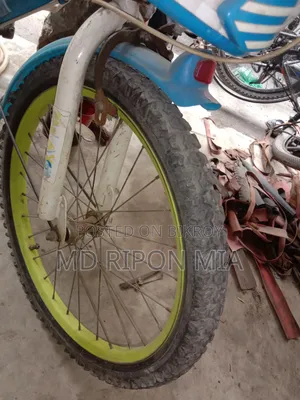 Bicycle has no problems and is completely fresh