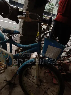Bicycle has no problems and is completely fresh