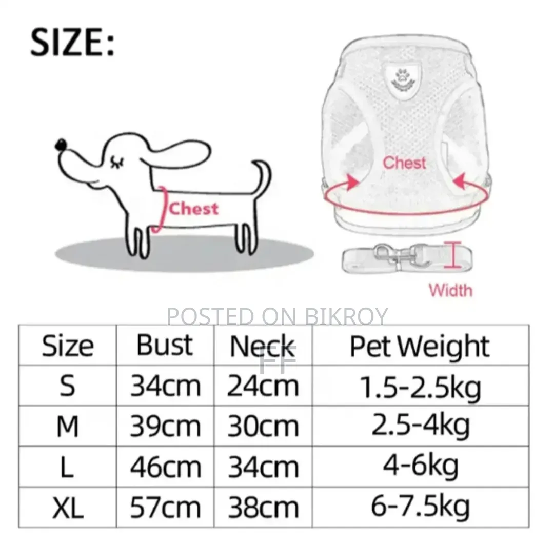 Traveling belt for cats.