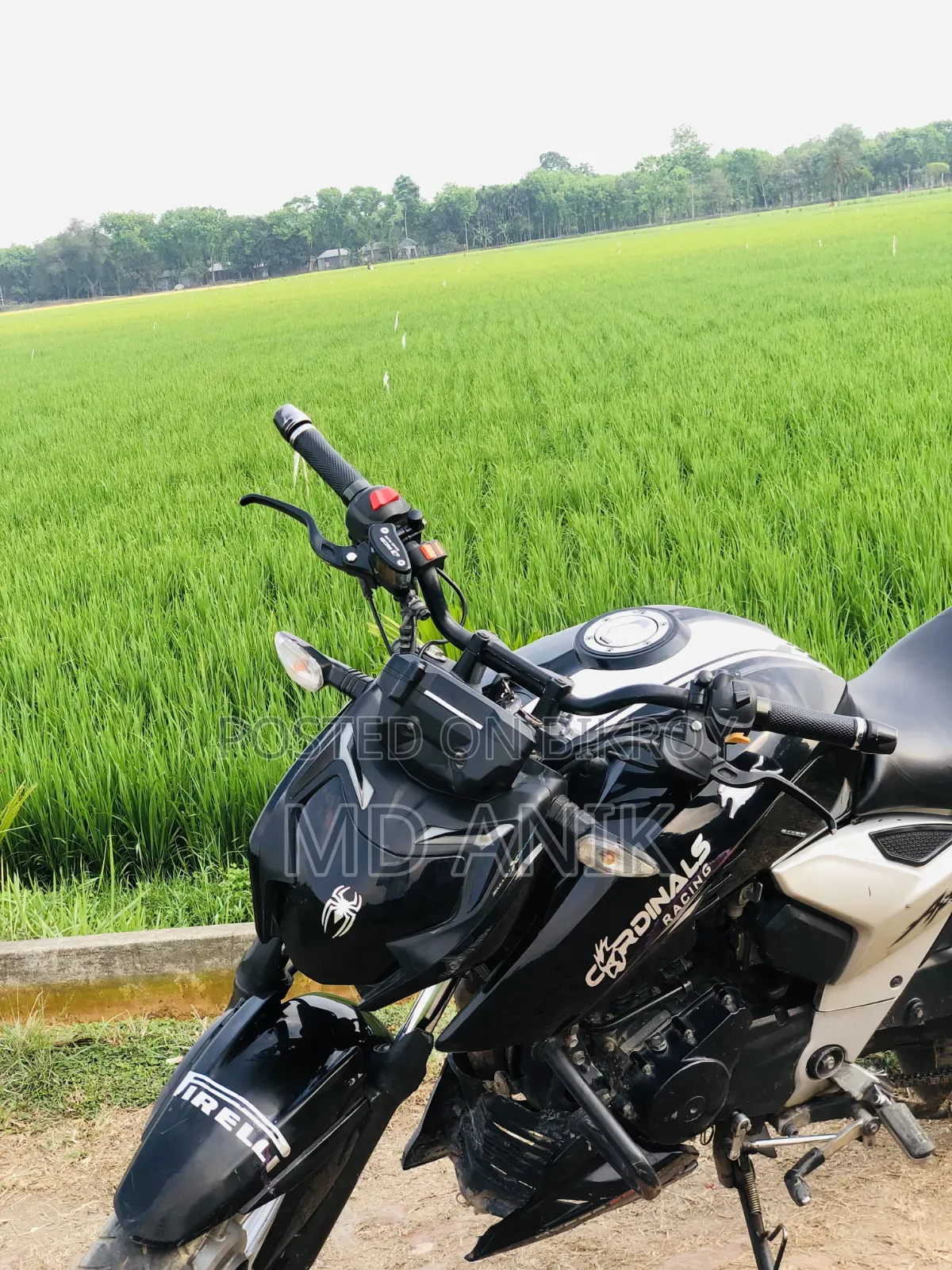 TVS Apache 160 4V 2021 Black