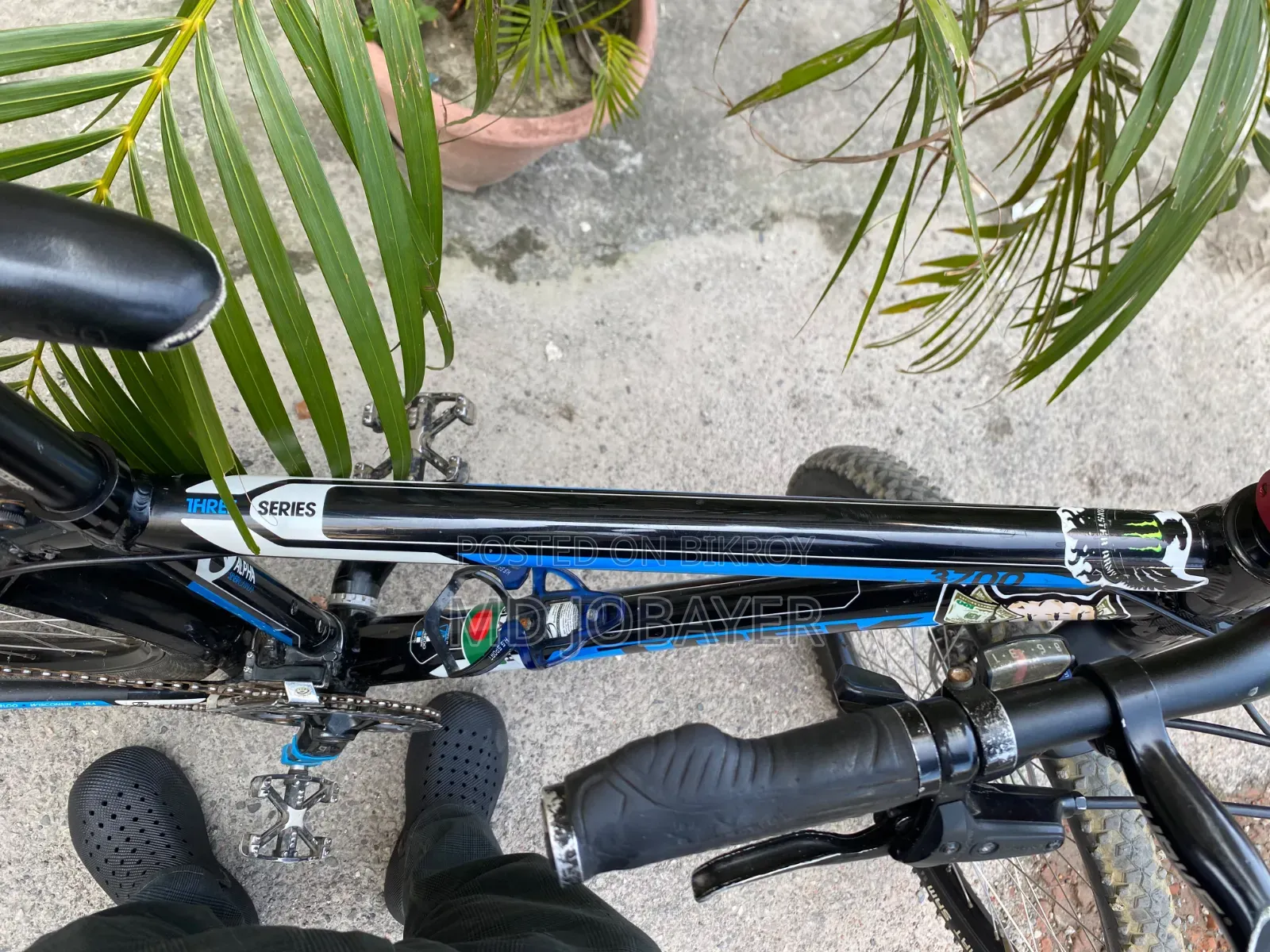 Cycle Full Fresh