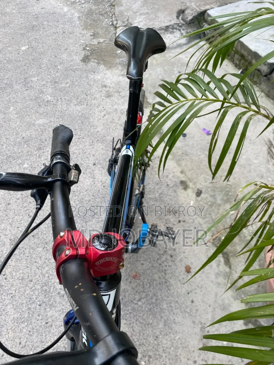 Cycle Full Fresh