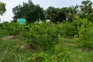 আপনার হাতের নাগালেই স্বপ্নের ভূমি - পূর্বাচলের পাশে মাত্র লাখে প্রতি কাঠা!