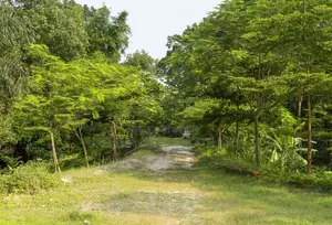 আপনার হাতের নাগালেই স্বপ্নের ভূমি - পূর্বাচলের পাশে মাত্র লাখে প্রতি কাঠা!