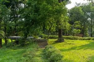 আপনার হাতের নাগালেই স্বপ্নের ভূমি - পূর্বাচলের পাশে মাত্র লাখে প্রতি কাঠা!
