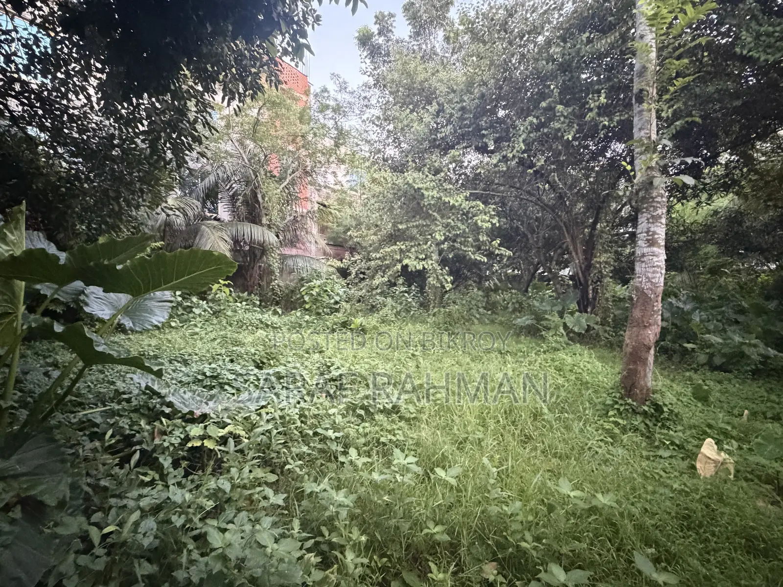 ভিআইপি ল্যান্ড ফর সেল (জমি )