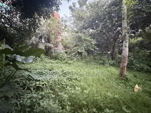 ভিআইপি ল্যান্ড ফর সেল (জমি )