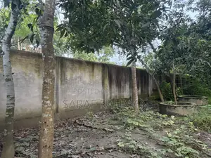 ভিআইপি ল্যান্ড ফর সেল (জমি )
