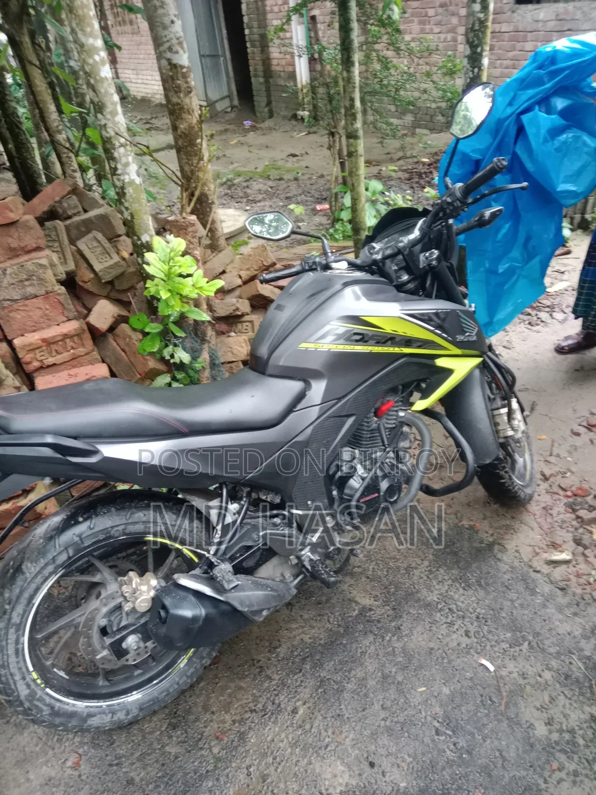 Honda Hornet 2022 Yellow