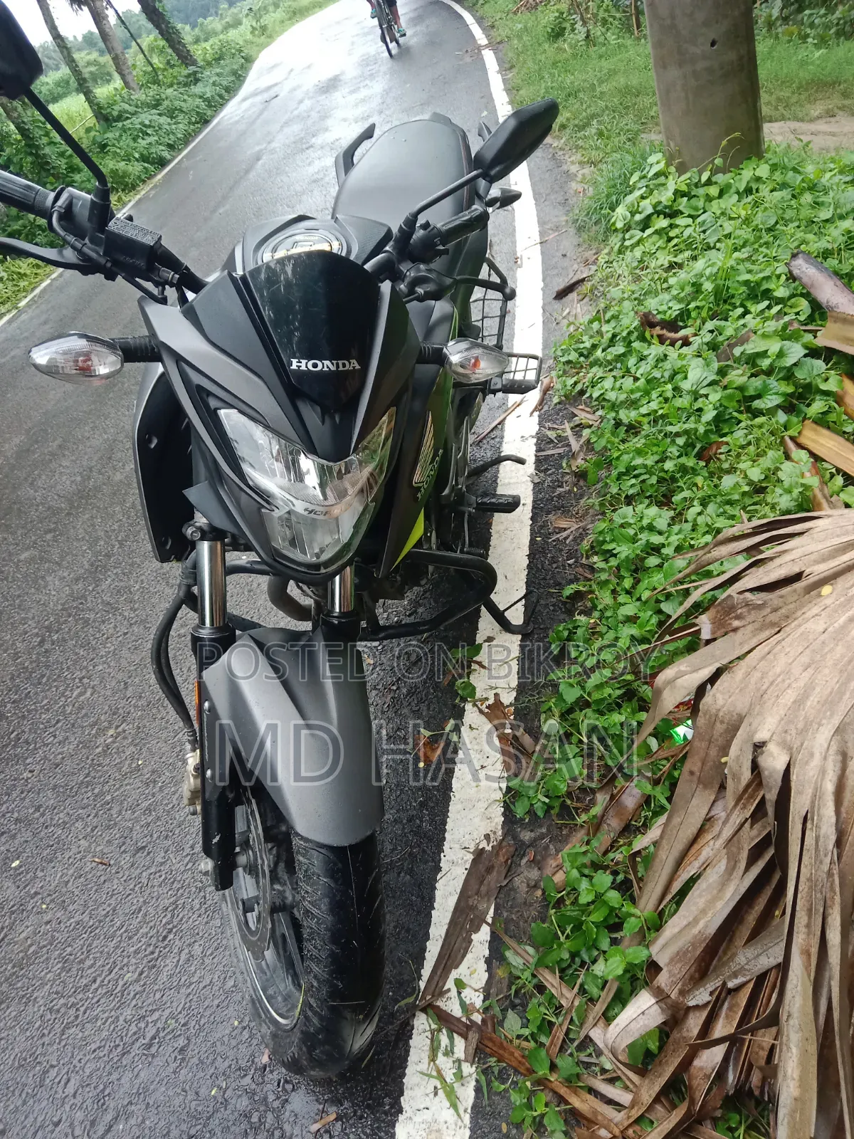 Honda Hornet 2022 Yellow